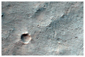 Possible Phyllosilicate-Rich Terrain