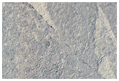 Candidate Impact Cluster Formed Between September 2005 and January 2007