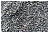 Possible Gullies in Crater