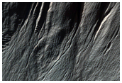 Monitoring Gullies for Change Detection