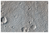 Contact Between Elysium Mons and Rise Lavas