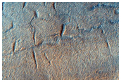 Large Polygonal Fractures on Northern Crater Floor