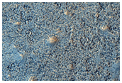 Northern Plains Sample