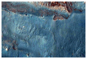 Possible Phyllosilicate-Rich Area in Syrtis Major
