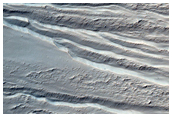 Gullied Crater Wall
