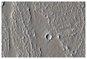 Flow Feature in Tharsis Region