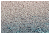 North Polar Boundary