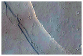 Volcanic Features in Ceraunius Fossae Region