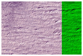 Candidate Fresh Impact Site Formed Between July 2005 and June 2009