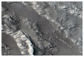 East Olympus Mons Basal Scarp