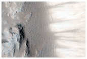 Eastern Portion of Very Well-Preserved 11-Kilometer Diameter Impact Crater