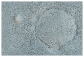 Boulder Strewn Plain in Northern Utopia Planitia 