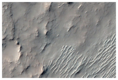 Terrain South of Newcomb Crater
