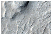 Lava Flow Lobes at the Base of Olympus Mons