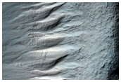 Gully Aprons in a Crater in Newton Crater