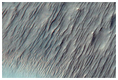 Well-Exposed Valley Network Fan Deposits in 30-Kilometer Diameter Crater