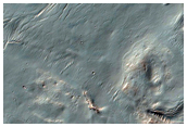Possible Phyllosilicate-Rich Terrain