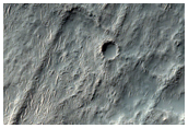 Gullies in Newton Crater