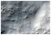 Gullies on Steep Slopes of Two Well-Preserved Large Craters