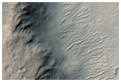 Wrinkle Ridges in Hesperia Planum