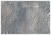 Candidate Fresh Impact Formed Between March 2005 and January 2010