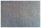 Terrain in Acidalia Planitia
