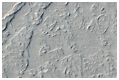 Very Recent Impact and Dark Spot
