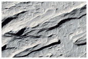 Sinuous Ridges in Zephyria Region
