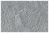 Channel in Mamers Valles Crater with Possible Phyllosilicates