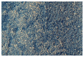 Domes in Arcadia Planitia