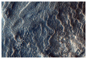 Possible Phyllosilicates near Lyot Crater