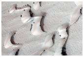 Frosted Chasma Boreale Dunes