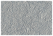 Northern Plains Sample Terrain
