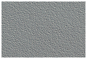 Spring Observation of Seasonal Monitoring Site on North Polar Residual Cap