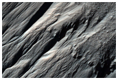 Gullied Crater Wall
