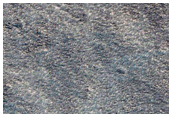 Pitted Northern Plains