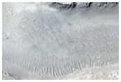 Eroded Crater Rim in Tartarus Colles