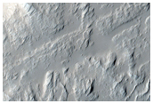 Scarp on Olympus Mons