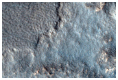 Northern Plains Terrain