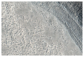 Possible Phyllosilicate in Ismenius Lacus Layered Units