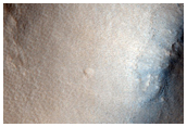Northern Plains Terrain