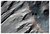 Gullied Crater Wall in Sirenum Fossae