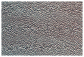 Exposures of North Polar Layered Deposits
