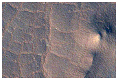 Polygonal Cracks inside a Crater