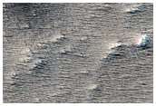 Candidate Fresh Impact Site Formed between July 2004 and January 2009