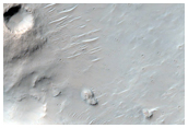 Central Uplift of a Large Impact Crater