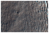Hellas Planitia