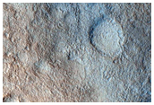 Nilosyrtis Mensae Fretted Terrain and Northern Plains Transition Area