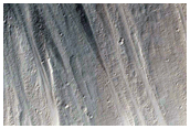 Gullies with Bright Deposits in Poynting Crater