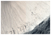 Well-Preserved 4-Kilometer Diameter Impact Crater in Elysium Region